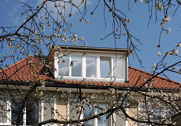 Gartenseite mit Gauben